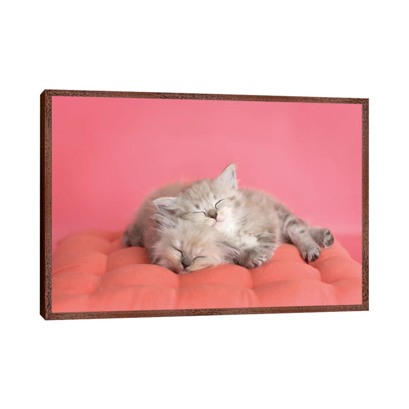 Chloe And Zoe by Rachael Hale - Print on Canvas, 66.04 cm H x 45.72 cm W, Classic Brown Wood Framed
