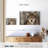 Brampt Gray Wolf Stare-107698542