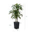 Adcock UV Resistant Artificial Yellow Dracaena Tree, Faux Tree with Large Base for Indoor Outdoor-983444161-983444160