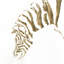 « gilded zèbre », impression sur toile-20828627-73159692-73159697
