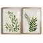 «Botanical Wash I», ensemble de 2 reproductions d'art sur toiles-455244319-455244312-455244305
