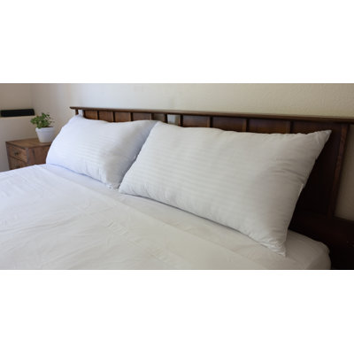 James Polyester Medium Pillow