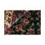 Wool Oriental Area Rug