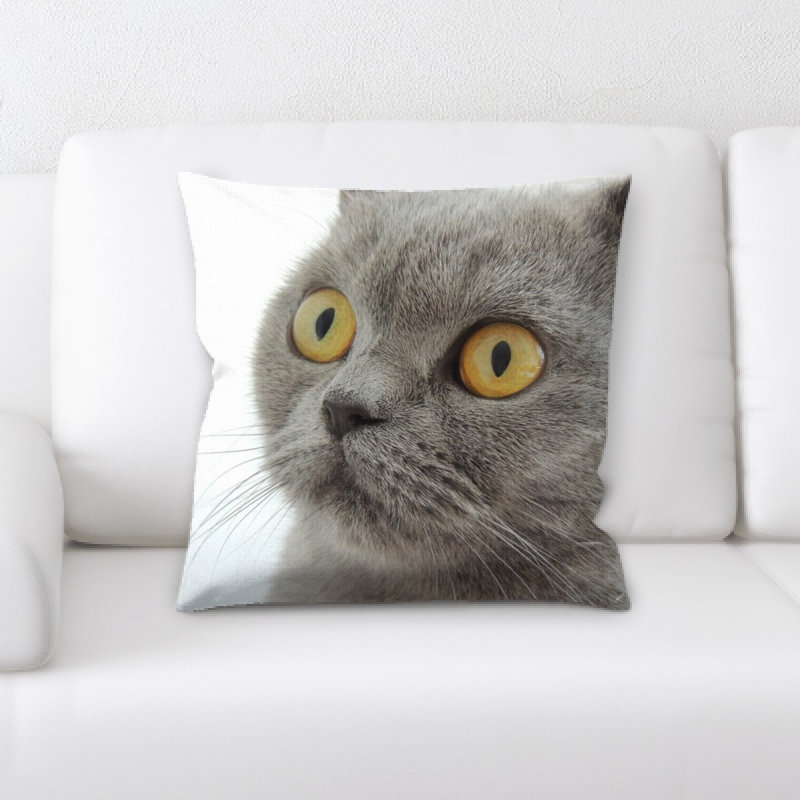 Housse de coussin carré et insert