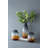 Lanayah Handmade Glass Table Vase-1240236678