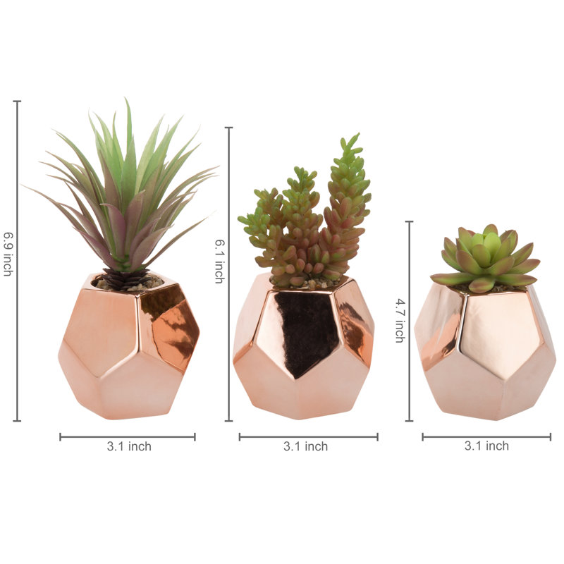 Plante grasse artificielle 6,9 po dans un pot en céramique