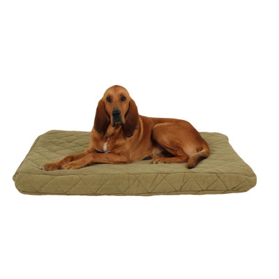 Lit matelassé orthopédique pour chien avec barrière d'humidité Jamison