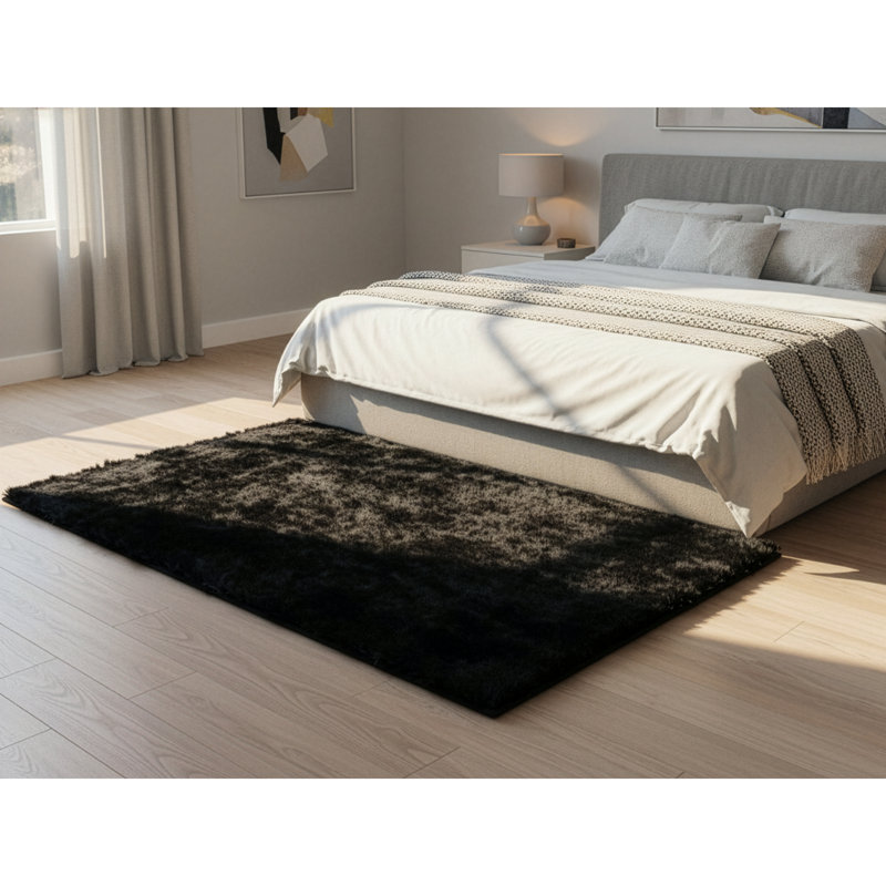Tapis noir à poils longs Trasdamad, Rectangle de 3 pi x 5 pi