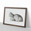 Peaceful Cat by Jean Bernard - Picture Frame Drawing Print-55577989-55577984