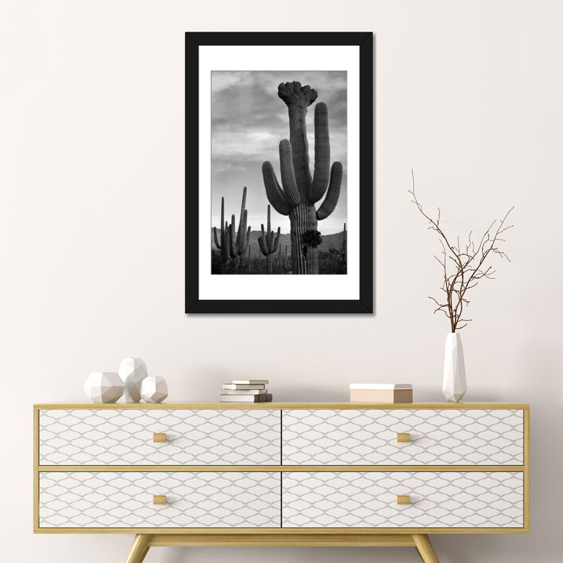 Saguaros, Saguaro National Monument par - impression, H 24 po x l 16 po x P 1 po, Papier d'art encadré noir, Blanc