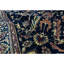 Sona Wool Oriental Area Rug in Navy/Blue