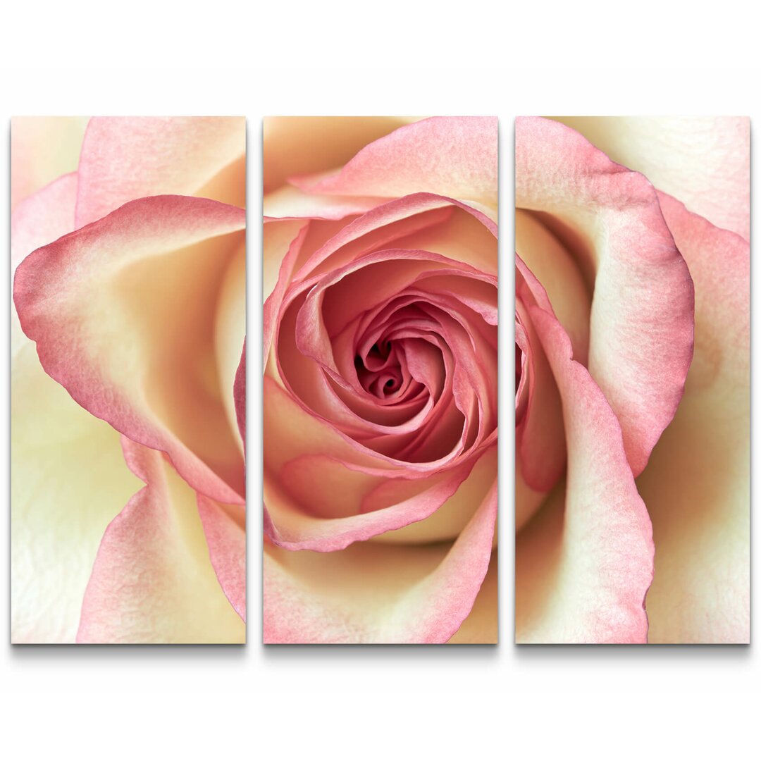 3-tlg. Leinwandbilder-Set Pinke Rose