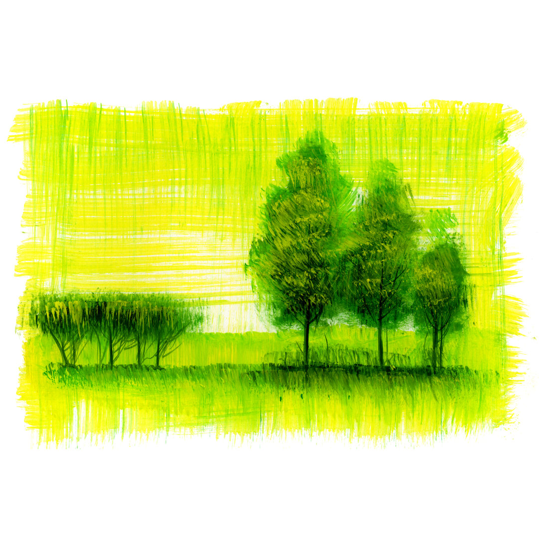 Waldlandschaft - Leinwandbild