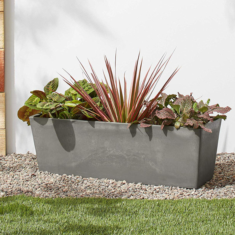 Murtagh Pot Planter, 6" H x 17.5" W x 7" D, Cement