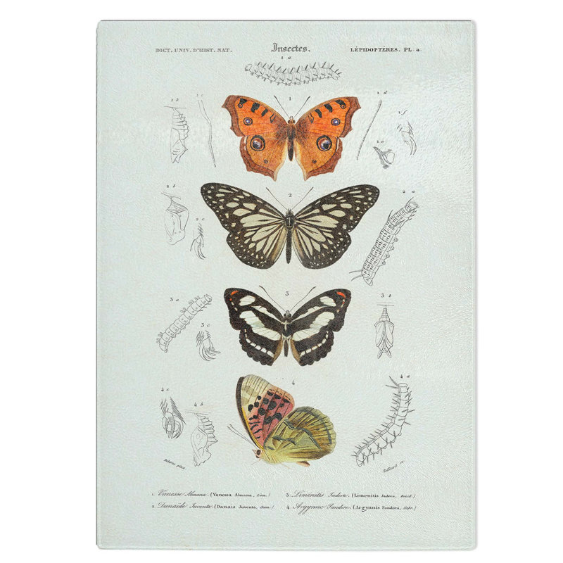 Tempered Glass Butterfly Illustrations Pl. 4 Chopping Board, 28.5 cm W x 39 cm L
