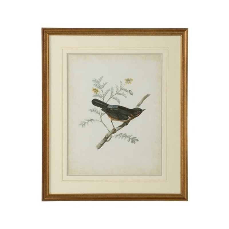 Delicate Birds III Print