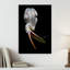 White Pelican Open Beak Elegant Contemporary Bird Pelican Nature Portrait Wall Art Print 1 Piece Wrapped Canvas Wall Art-441679983