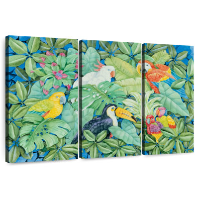 Brampt oiseaux tropicaux variés