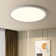 Deshunda 1 - Light 19.7" Simple Round Acrylic LED Flush Mount