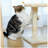 28.5-inch Kitten Tower-1432136371