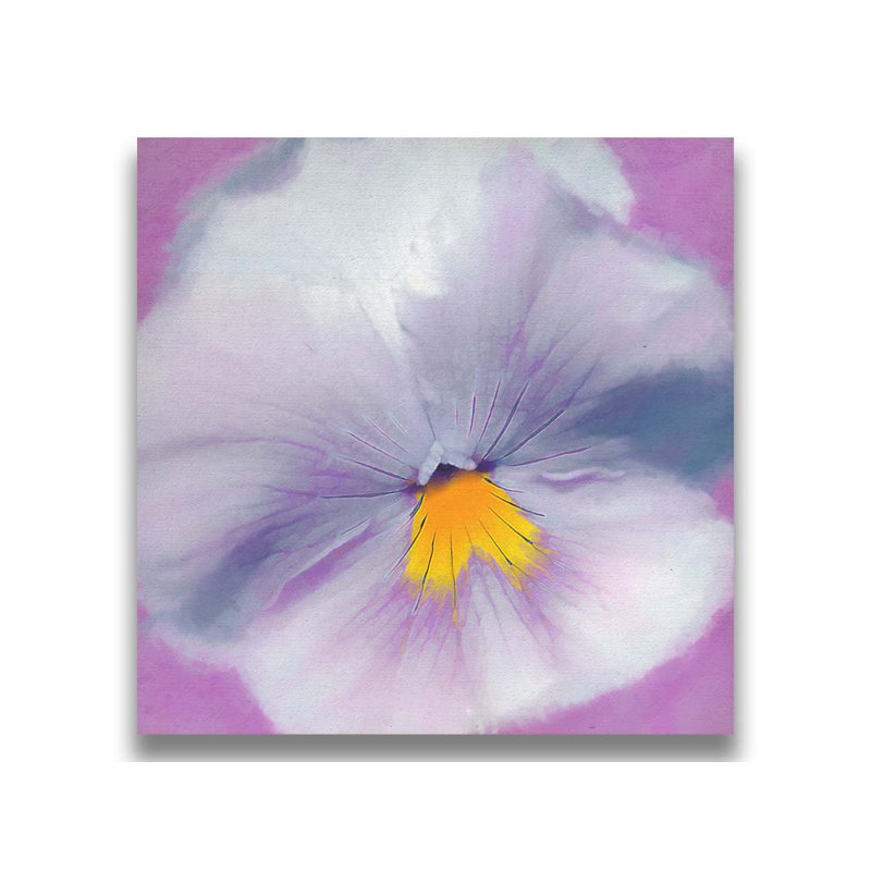 Pansy par Hal Halli. Estampe numérique, H 30,5 po x l 30,5 po, Impression encadrée sans passe-partout, Blanc