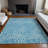  Machine Washable Indoor/Outdoor Chayden ACN1030 Rug-1455439490