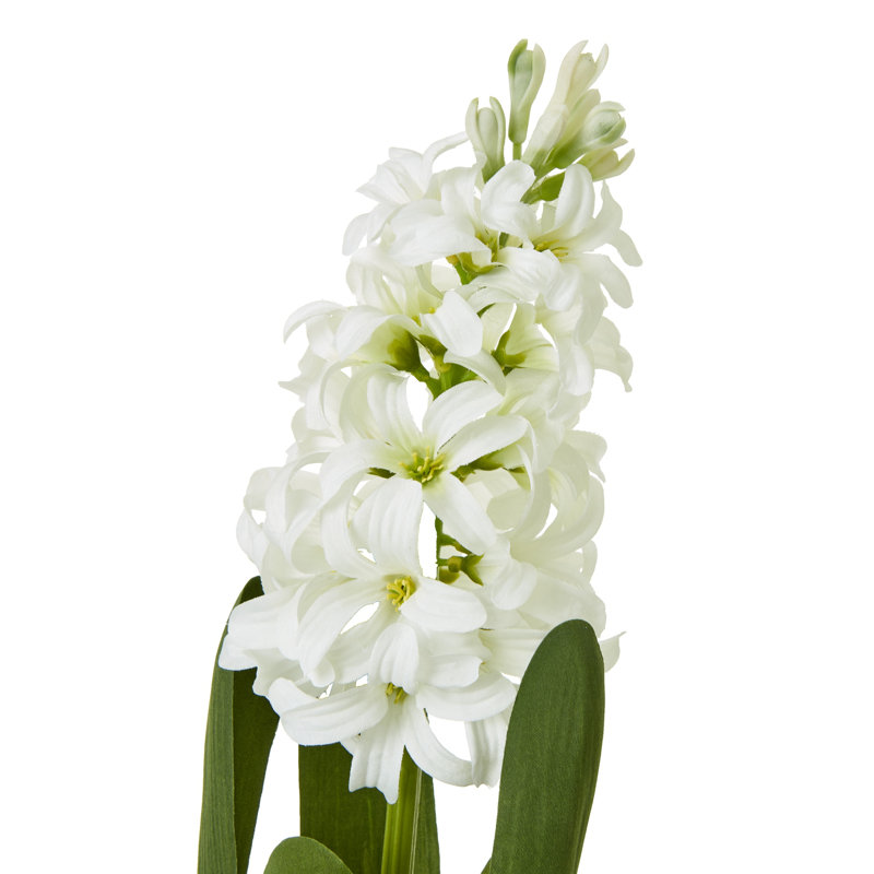 Anastasija Arrangement, 44 cm H x 4 cm W x 4 cm D, White