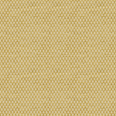 Guaranteed in Stock Fabric