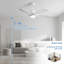 Damecia 52'' Ceiling Fan with LED Lights-1836628953