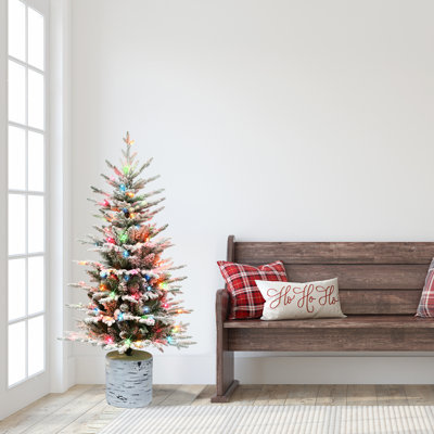 54' Lighted Pine Christmas Tree