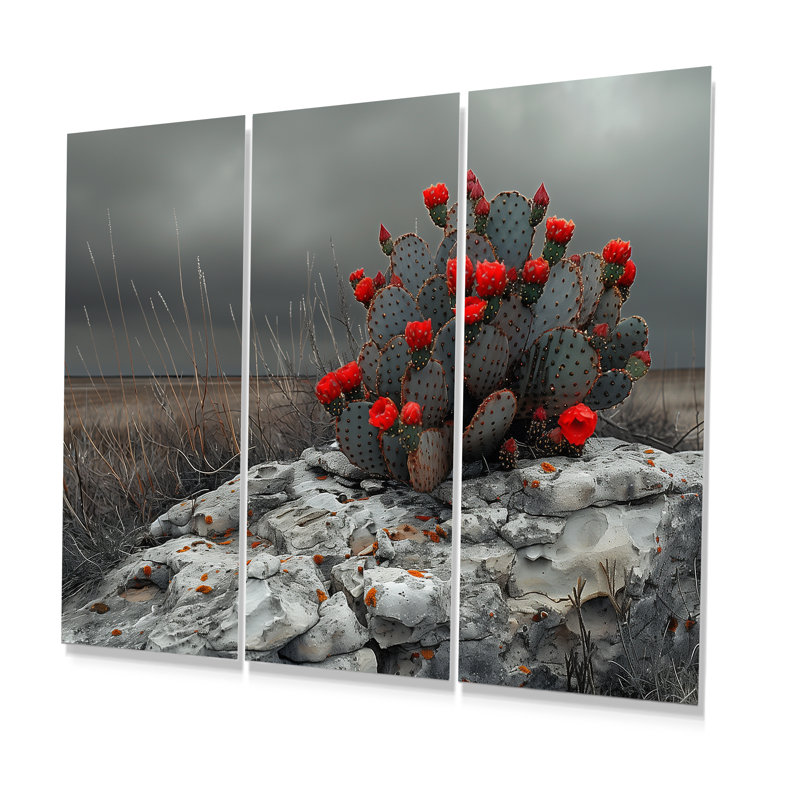 Ensemble de salon art mural rouge cactus désert rouge dramatique, Métal métal, H 28 po x l 36 po x P 1 po