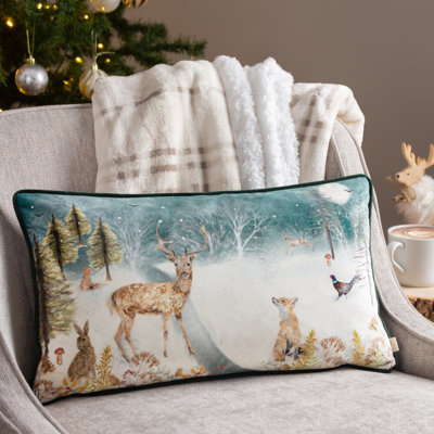 Teal Rectangular Cushion