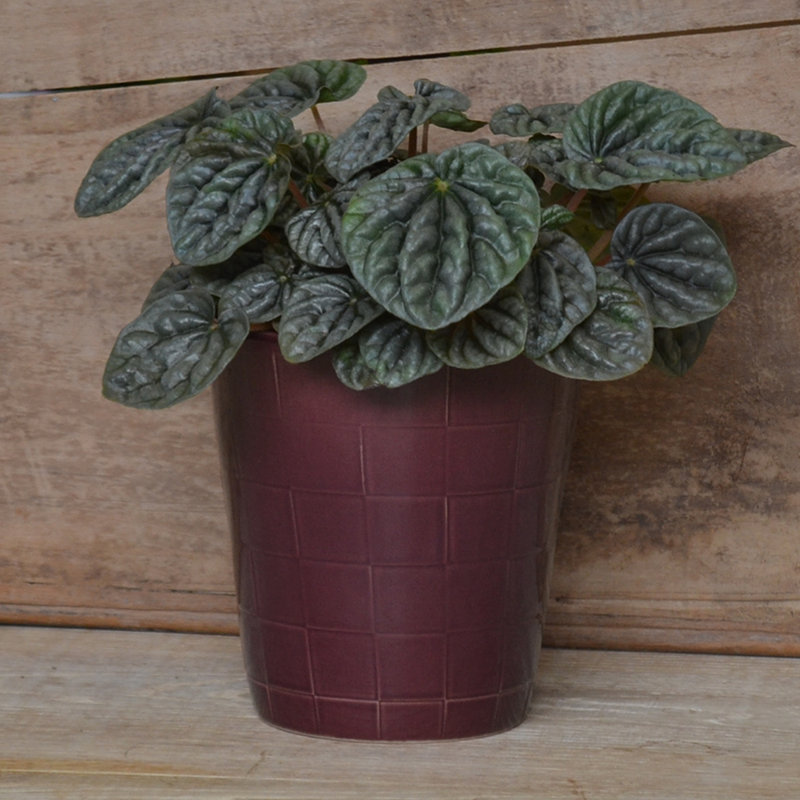 Boho Handmade Pot Planter, Purple