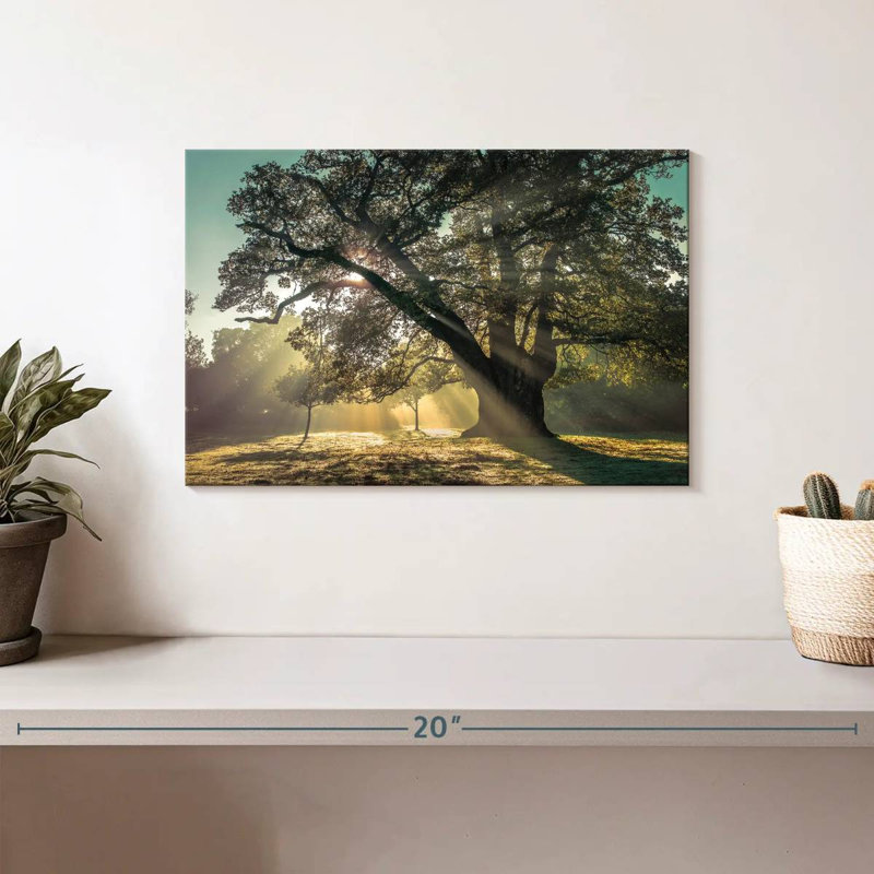 Harnek Breaking Through The Tree, 8" H x 12" W