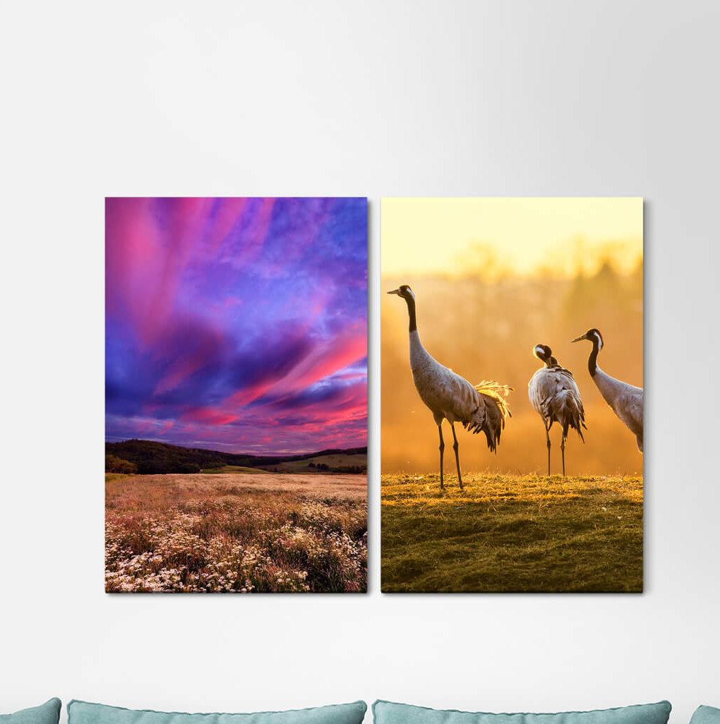 2-tlg. Leinwandbilder-Set - Fotografie „Pink Clouds Summer Meadow Horizon Picturesque Cranes Mountains Nature”