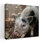 Ce petit cochon II, art animalier contemporain