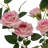 2 Pieces Artificial Rose Tree-1706220531