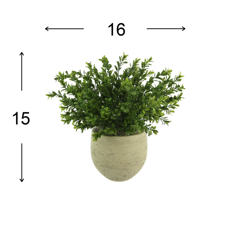 Outdoor UV-Rated Boxwood in Fiberstone Pot