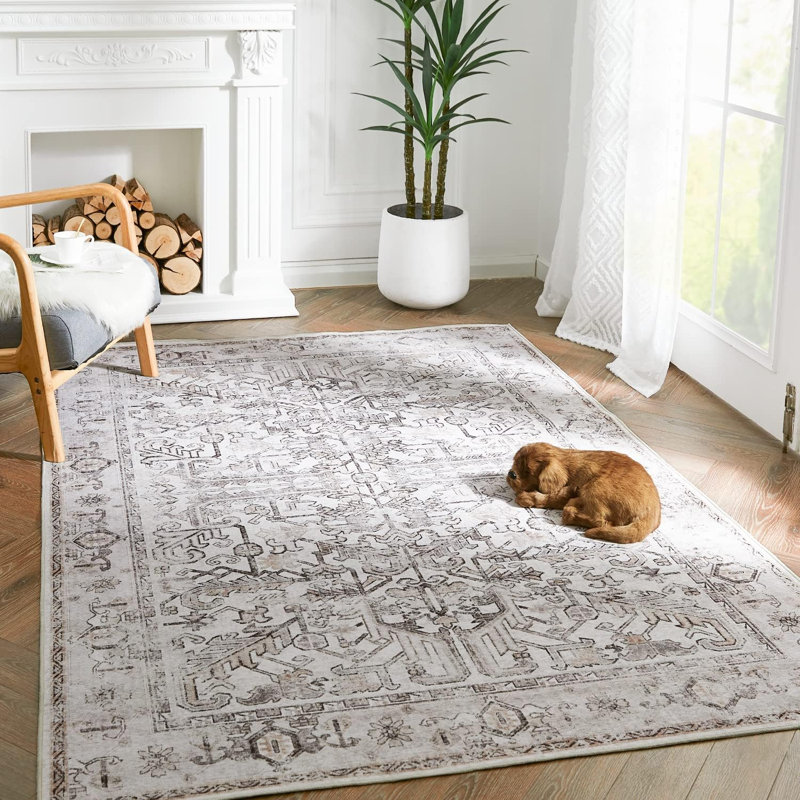 Olekseij Chenille Mashine Washable Vintage Indoor Arae Rug with Non-Slip Backing for Bedroom Living Room Kitchen Entryway