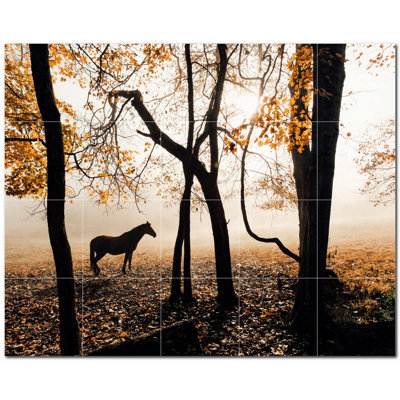 Photo de cheval 6 x 6