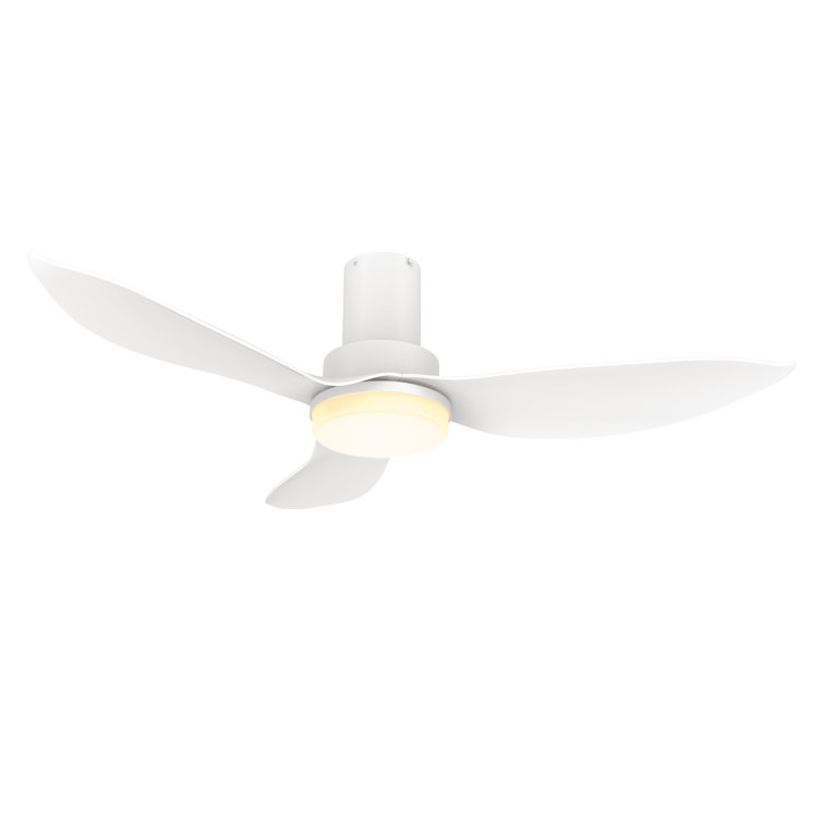 36" 3 - Blade LED Standard Ceiling Fan with Remote Control and Light Kit Included