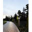 Windermere LED Bollard Light-2066624550