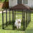 Canine Courtyard Deluxe Outdoor Kennel