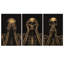3 Piece Wrapped Canvas Wall Art-459447255