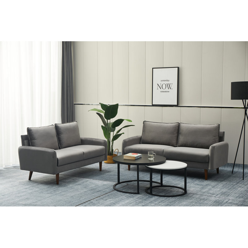 Ensemble de salon en velours 2 pièces Emteas, Gris