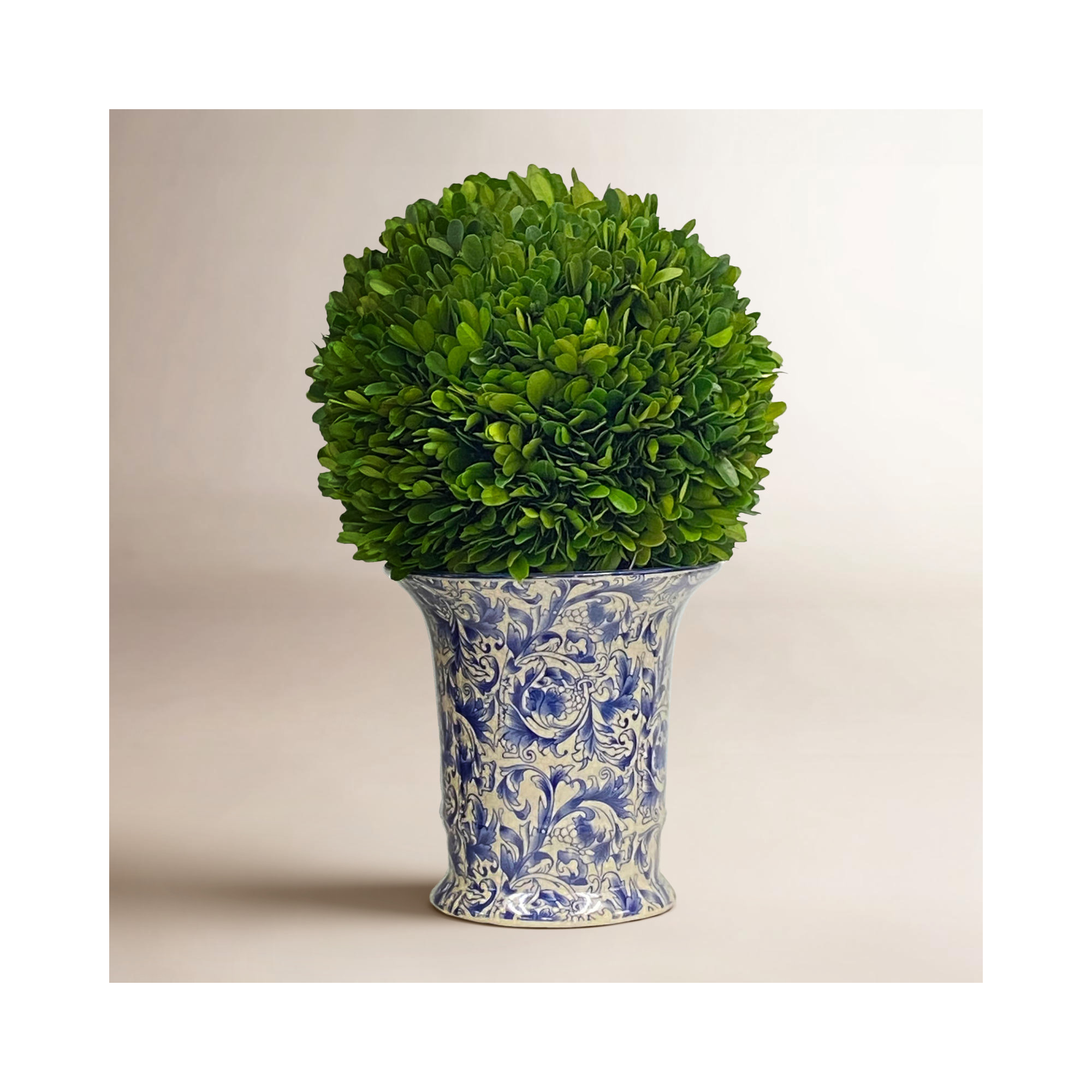 BOXWOOD BALL IN A VASE