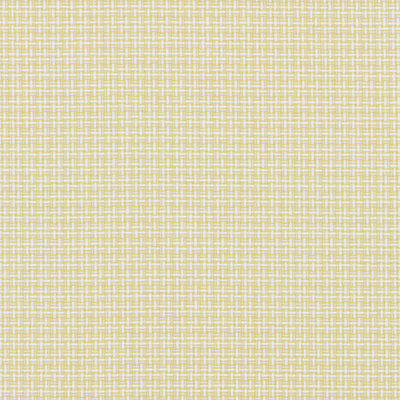 Paramount Fabric