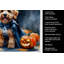 Torchon Goldendoodle-888558631