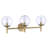 Everly Quinn Auresa Soft Brass With Clear Vanity Light