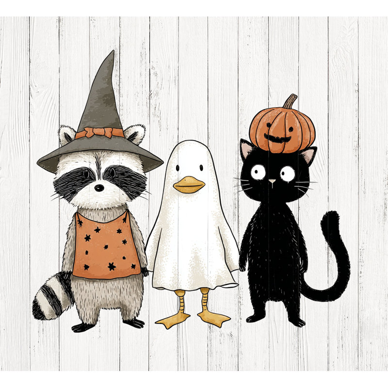 «Witch Raccoon Duck and Cat», art mural sur toile tendue, H 20 po x l 20 po